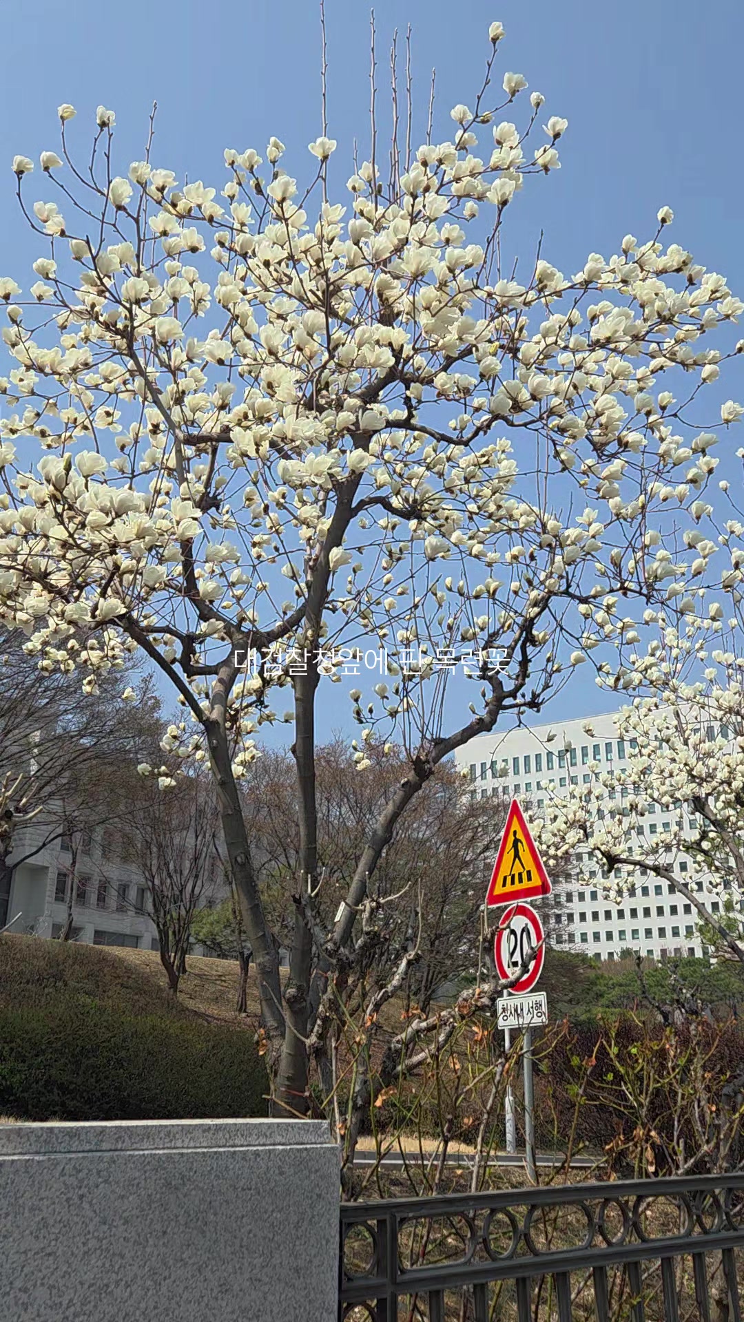@성찬조