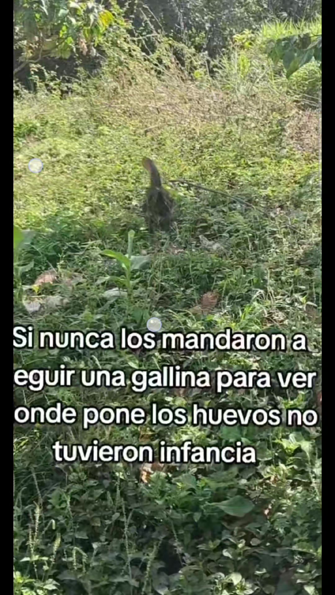 @🐋Ĺ&auml;Lƴ Ĺ&auml; &Ccedil;&otilde;ņ&euml;ǰ&iacute;ţ&auml;🥕🐇👩&zwj;👧