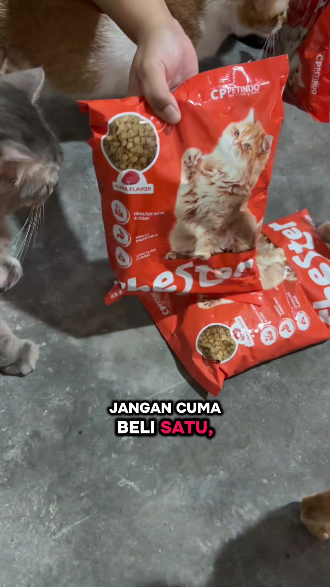 @BUMI ANABUL😺