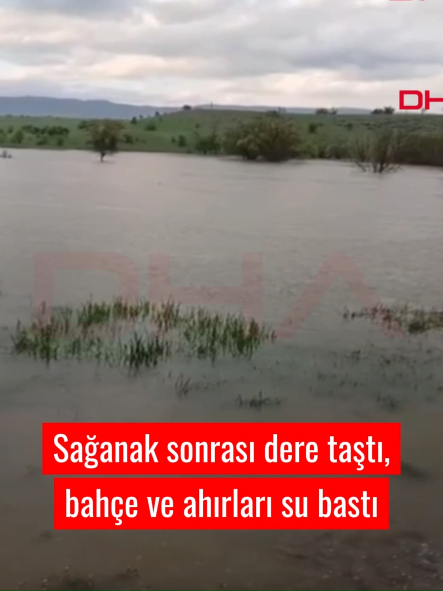 @Demir&ouml;ren Haber Ajansı