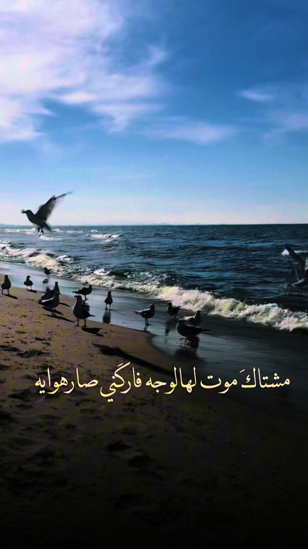 @Rawaa