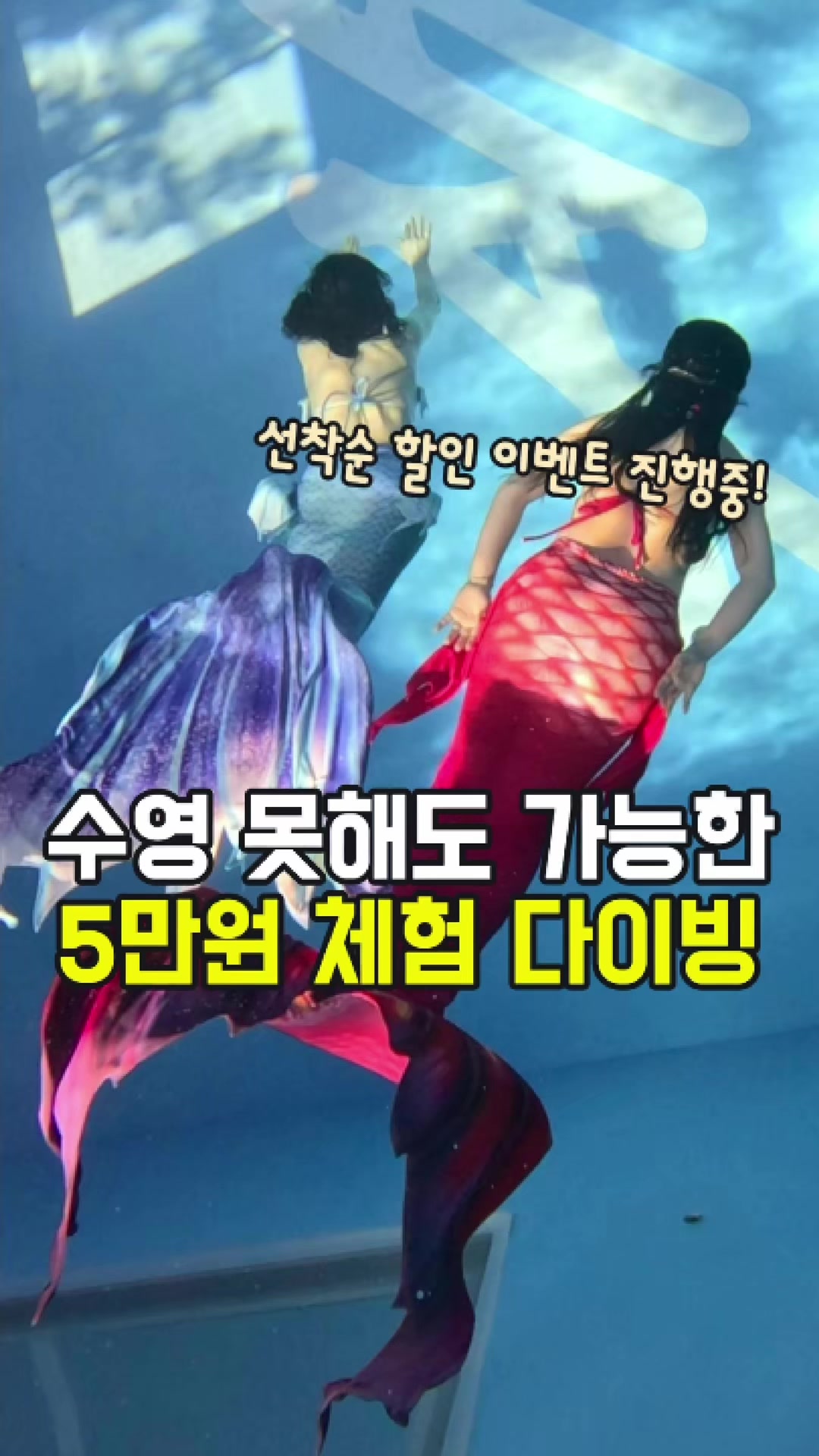 @대전토박이