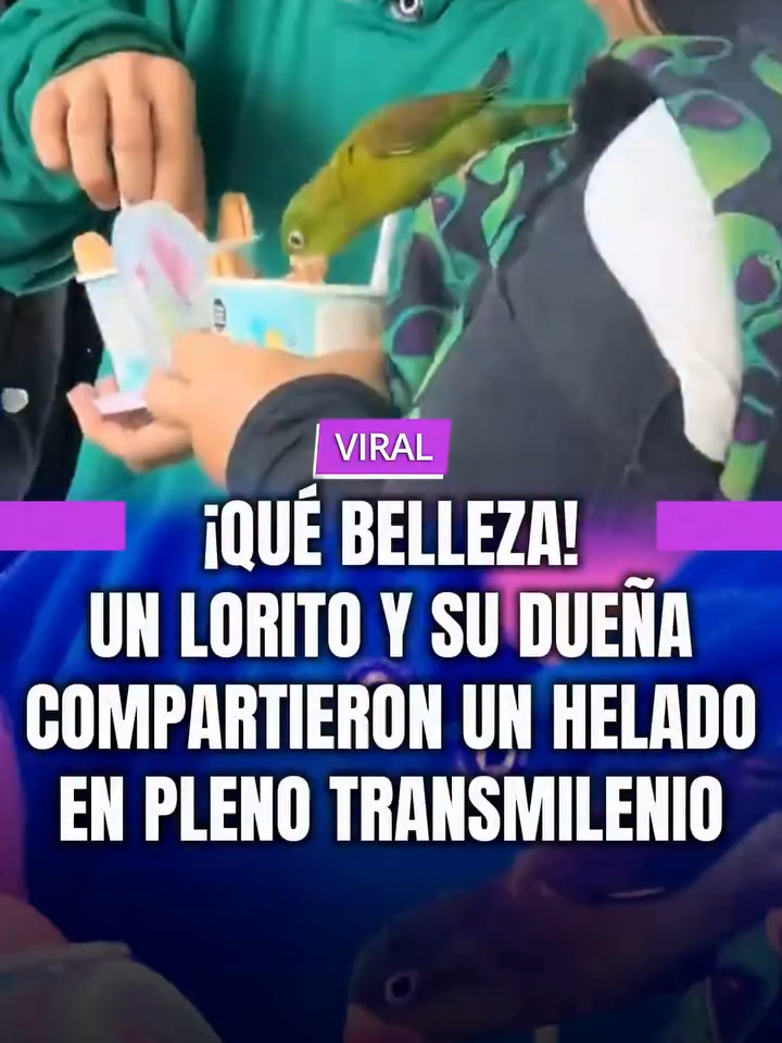 @MINUTO30
