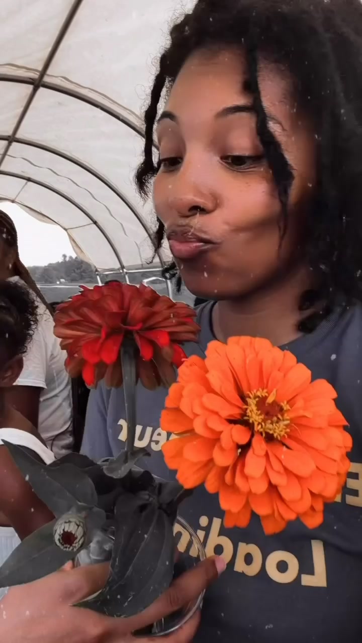 @Miss_cynosure