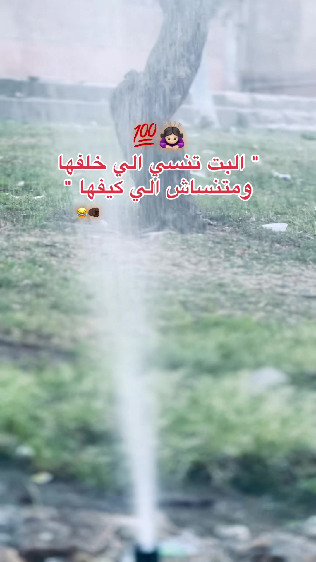 @🔁| يـسـن 🐺