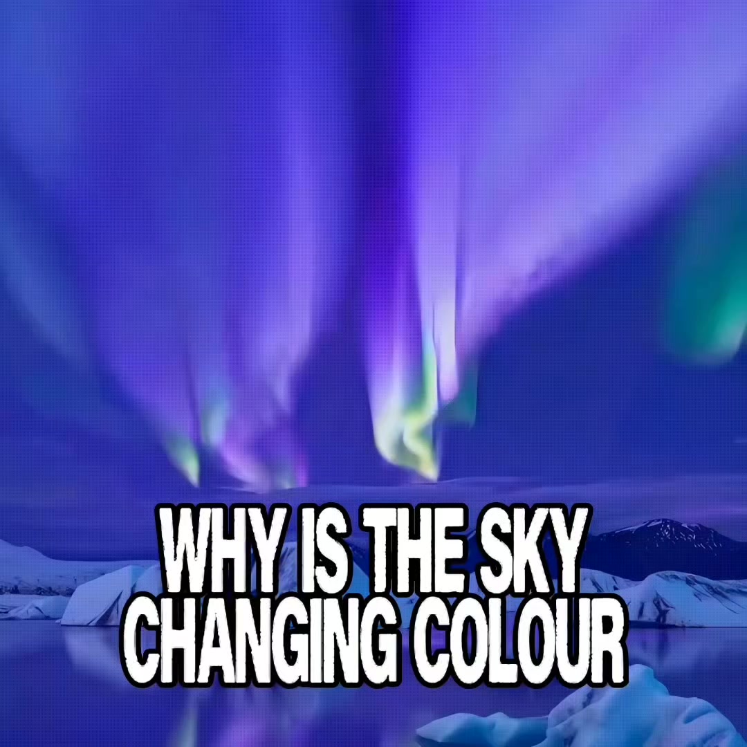@NutCandle