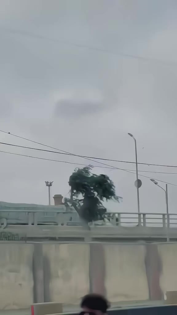 @🇻🇳ᴀ፝֟ᴋ᭄ɮůľ𝗹𝖊𝐭࿐ᴬᵏ₄₇🥊🇻🇳