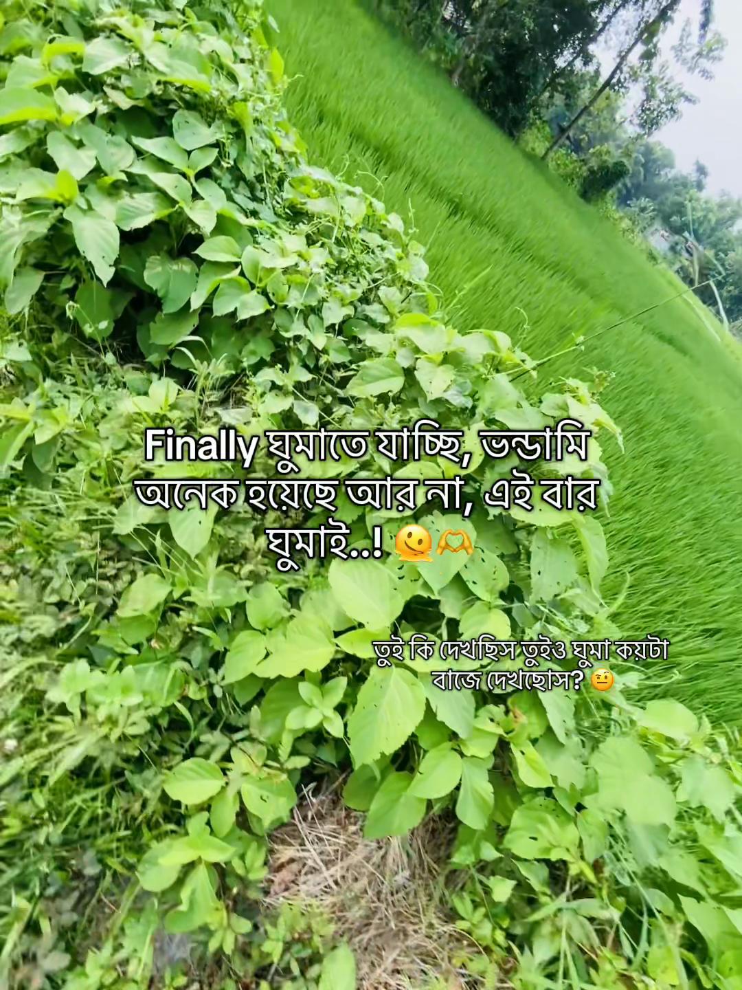 @টিক_টকি 🐸