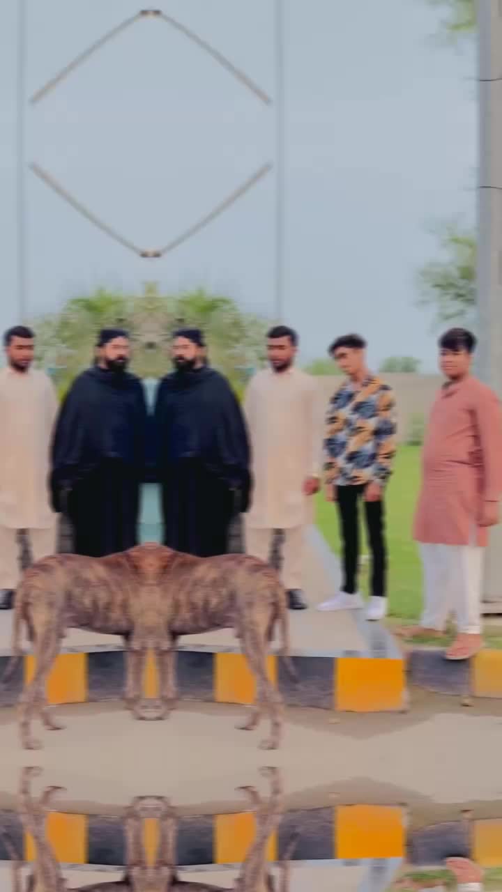 @haider sader