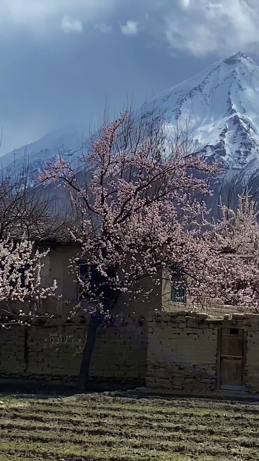 @𝙕𝙚𝙨𝙝𝙖𝙣 𝙂𝙖𝙡𝙡𝙚𝙧𝙮🏔️