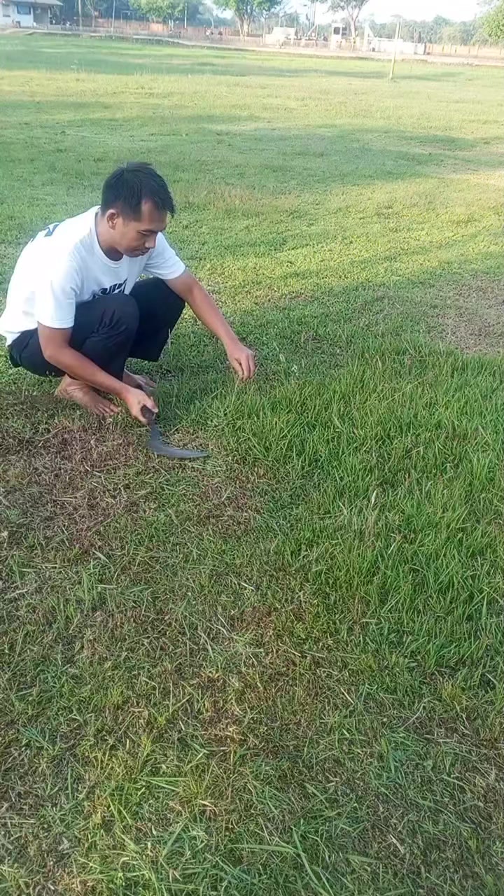 @Ali