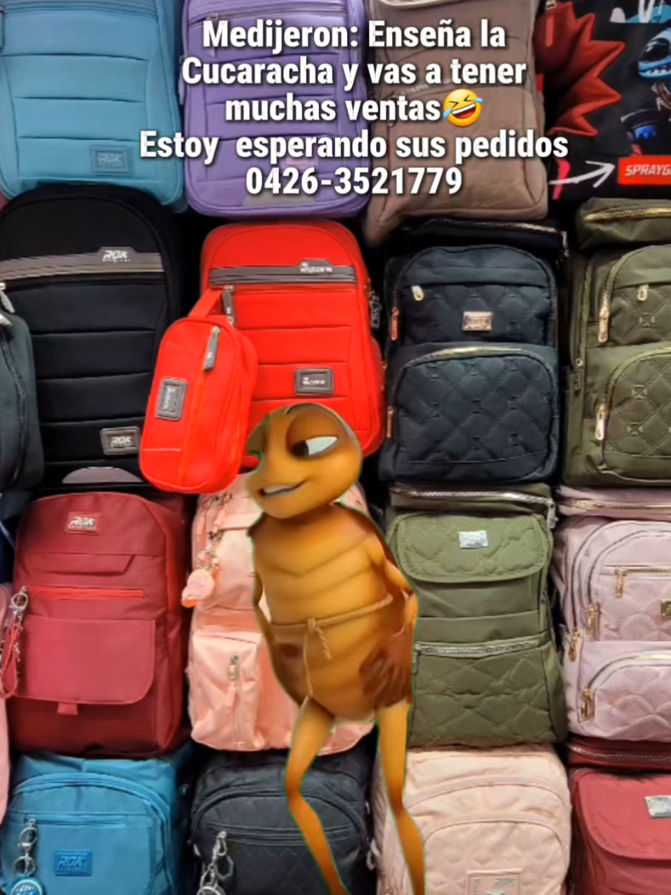 @KariciasEmprendedoresc.a