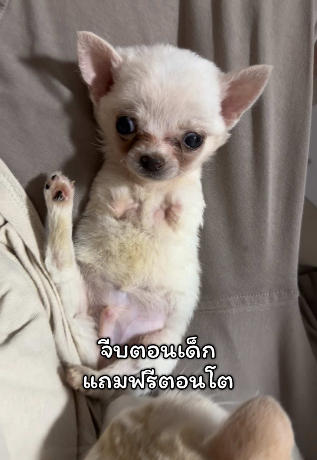 @ผมชื่อเฟิร์บ