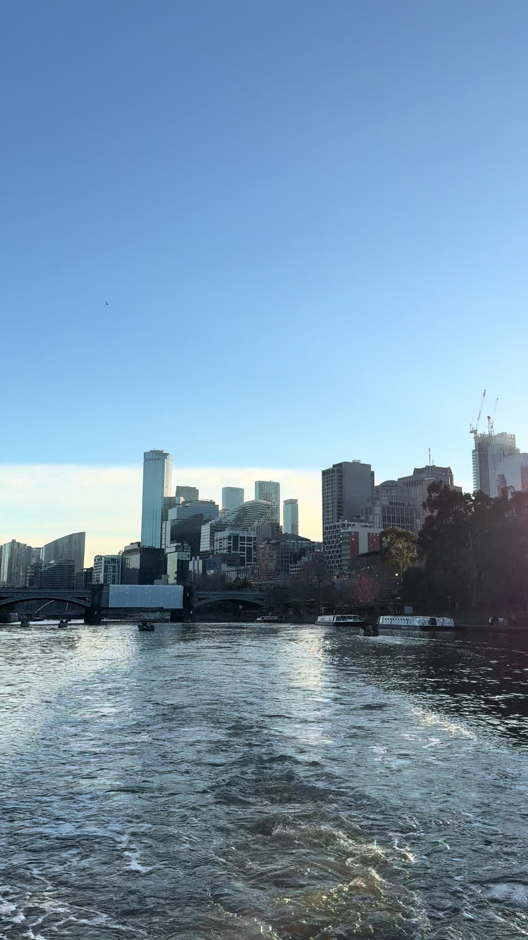 @Mohammed almafry🇦🇺🇾🇪