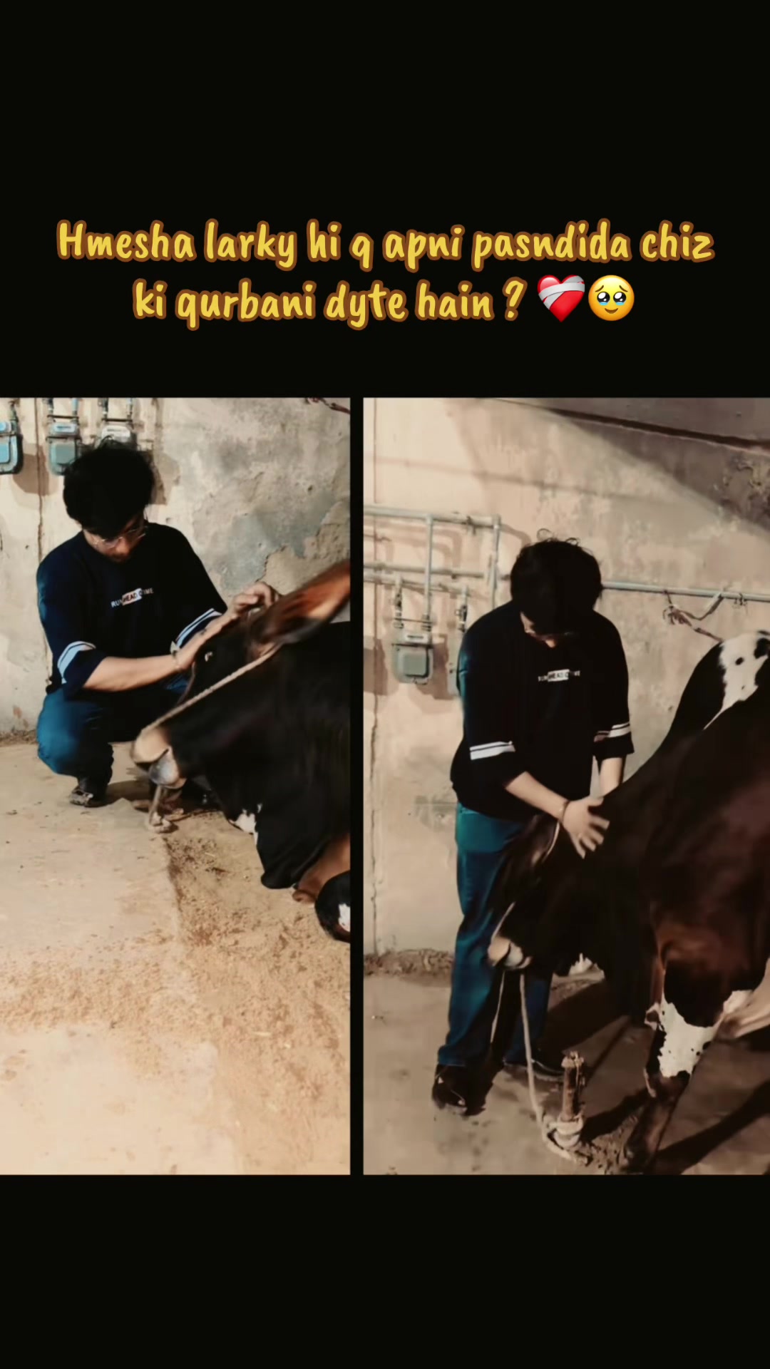 @Mr. Hassaن❤️😇