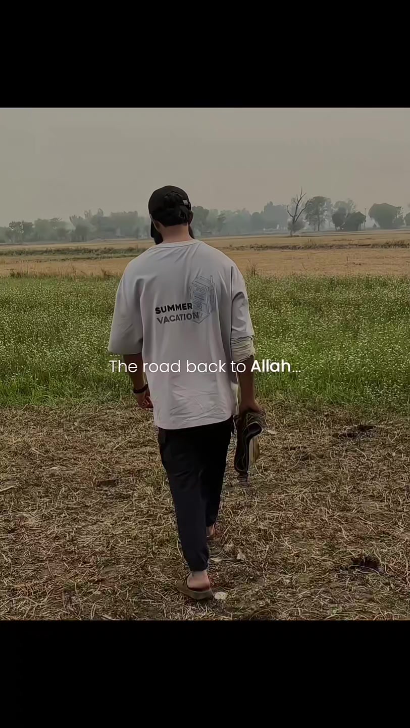 @Halal Mohsin