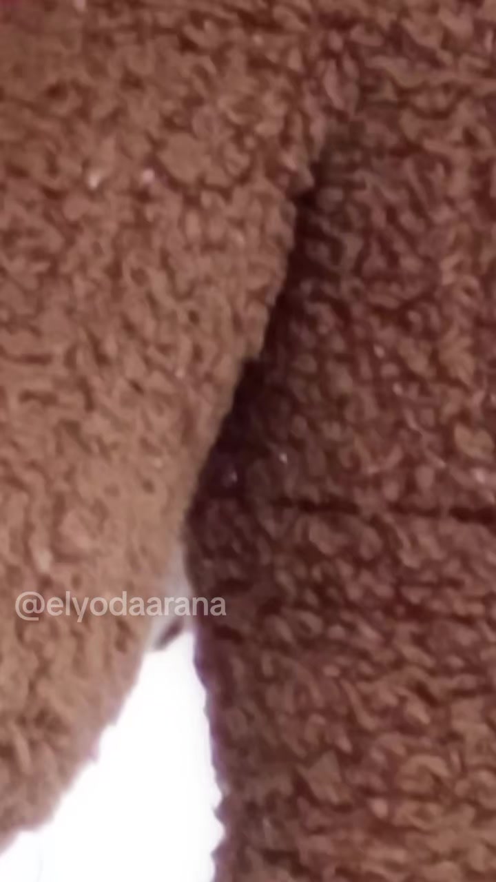 @Elyodaarana