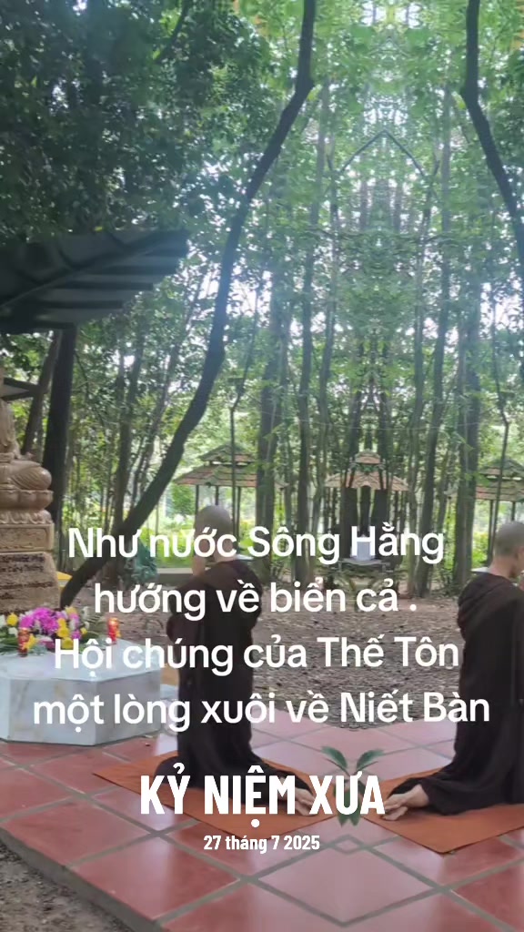@TK Bảo Ân