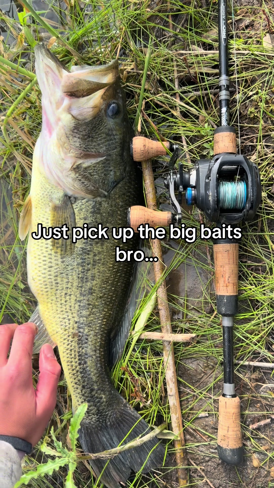 @FattBassFishing