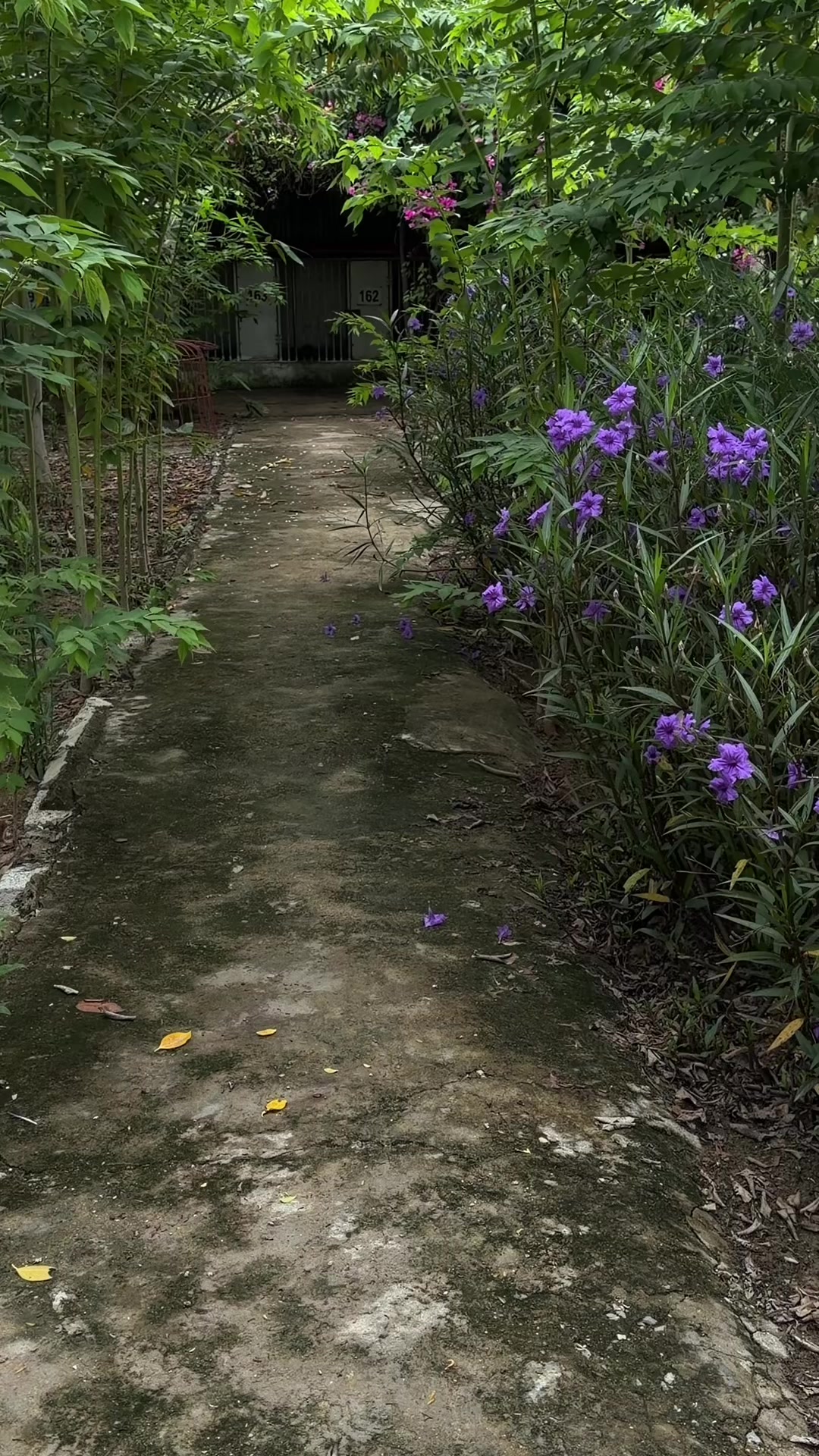 @Quốc khánh