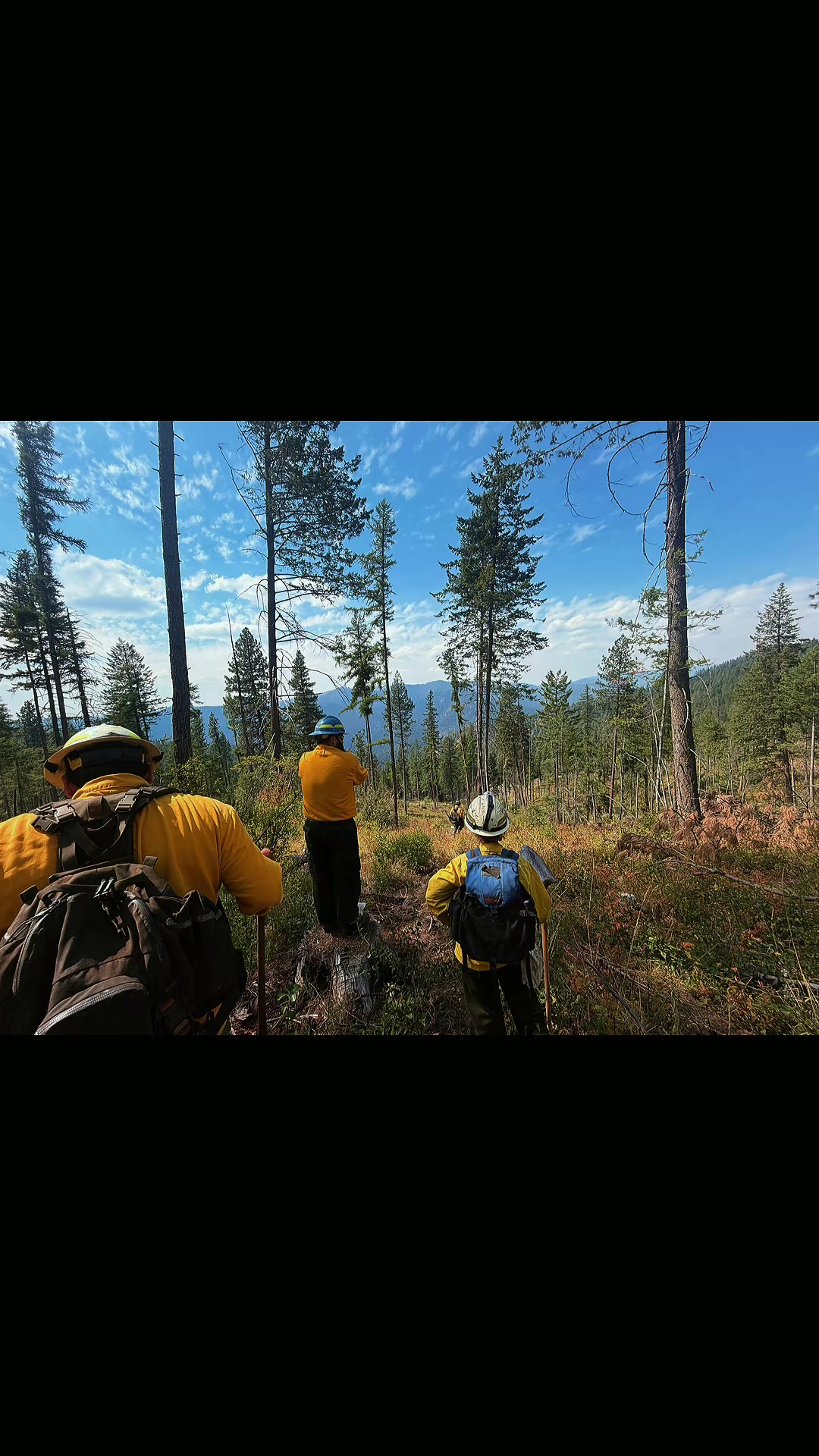 @Nikki Wozzo