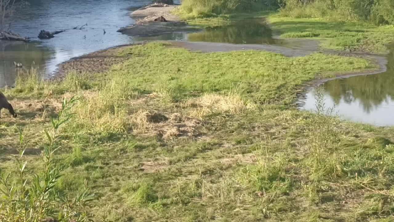 @Не повторять !!!