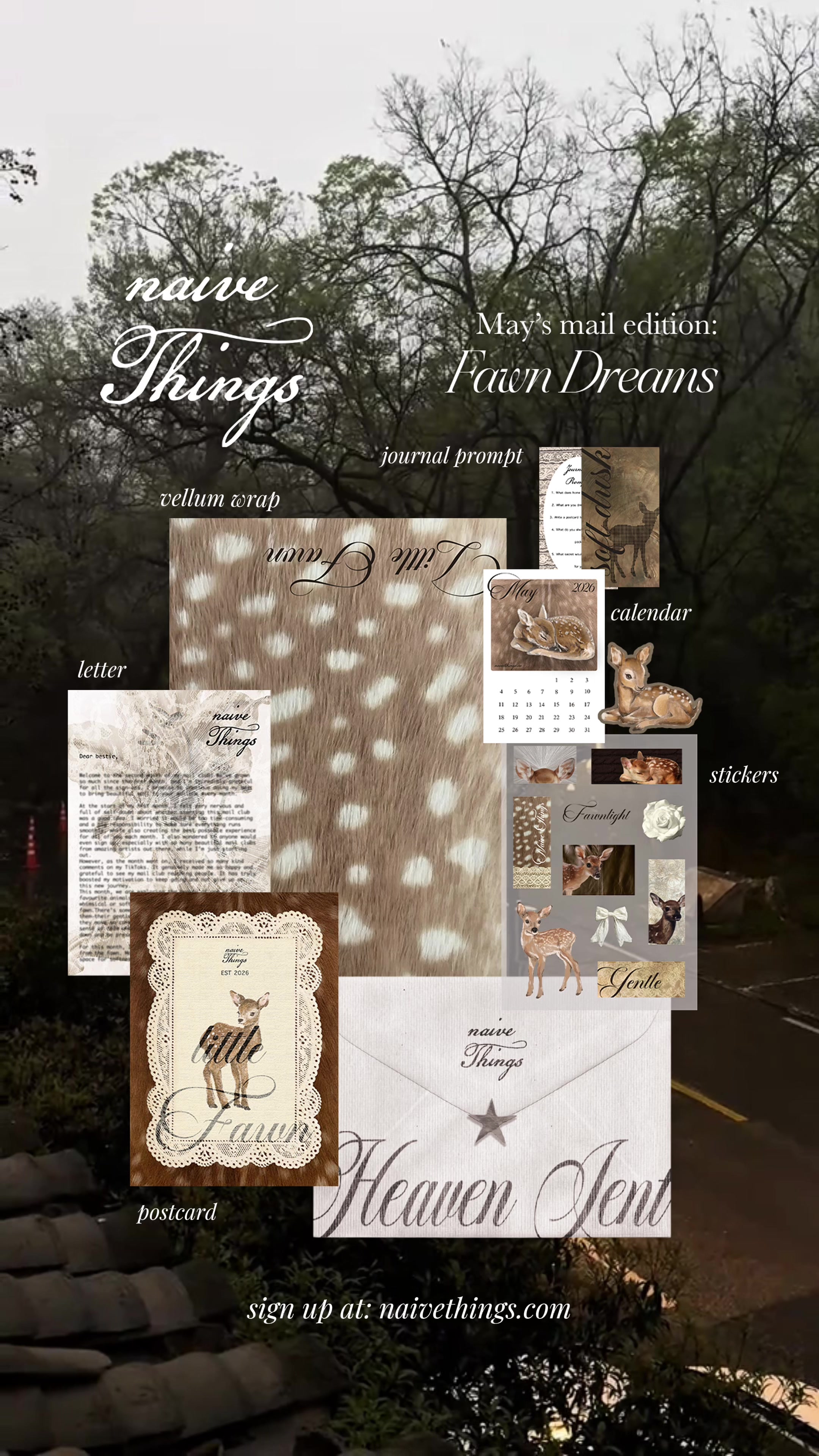 @Naive Things Mail Club ✉️