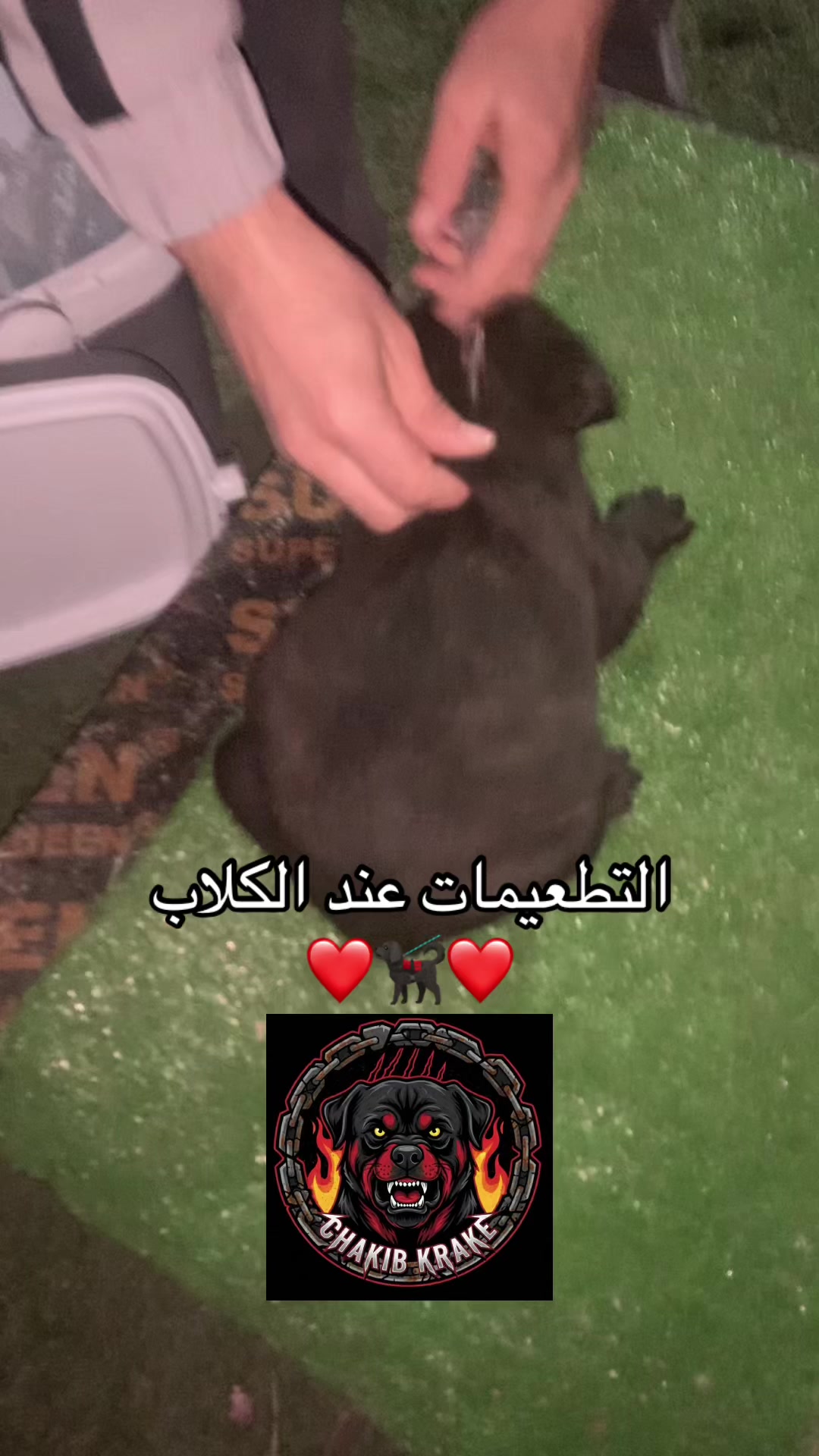 @Chakib Krake