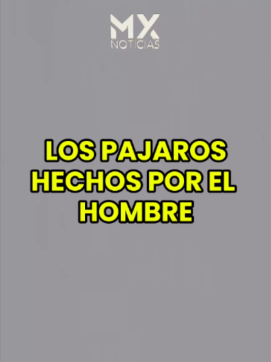 @MX
