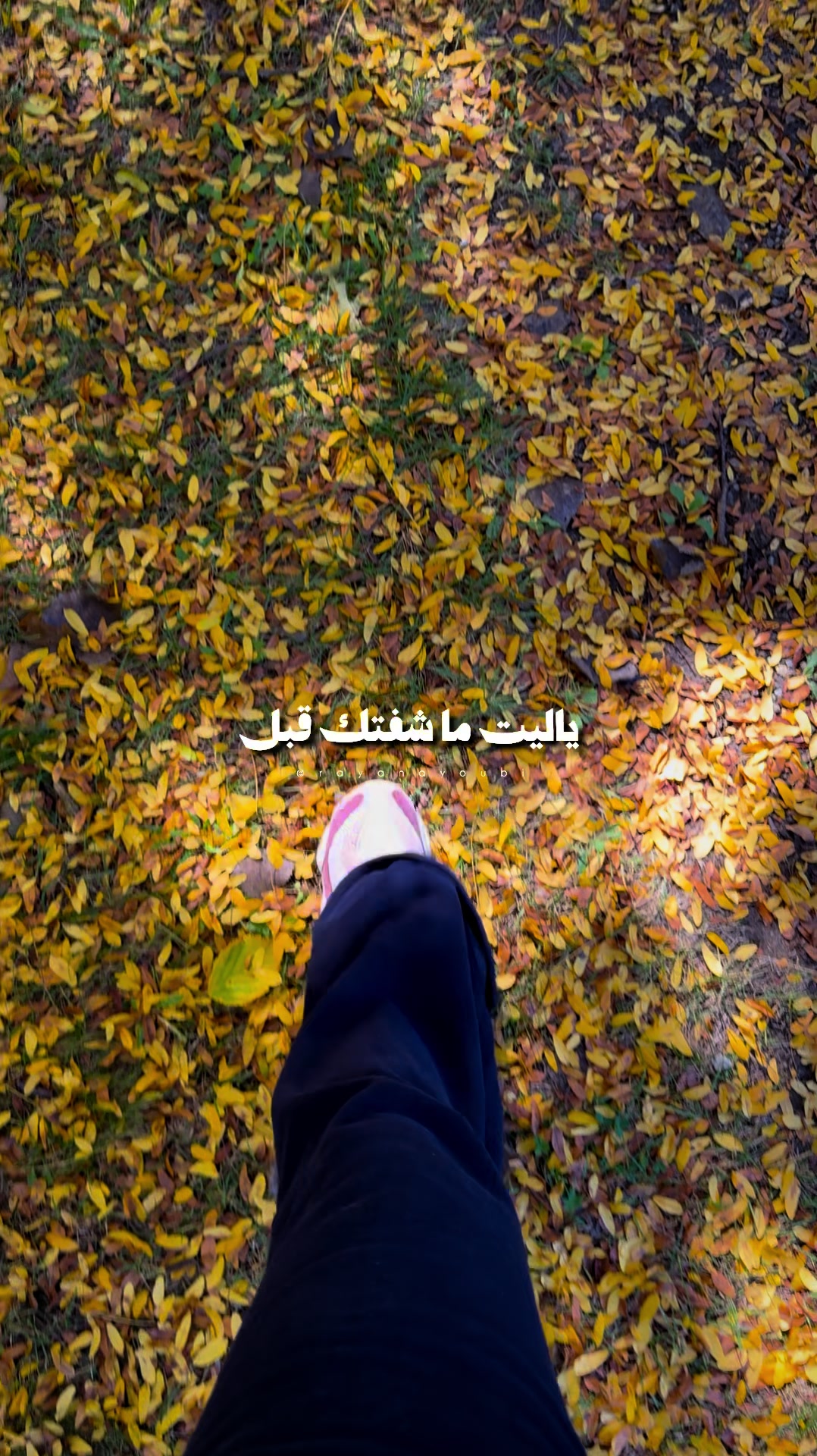 @Rayan El Ayoubi