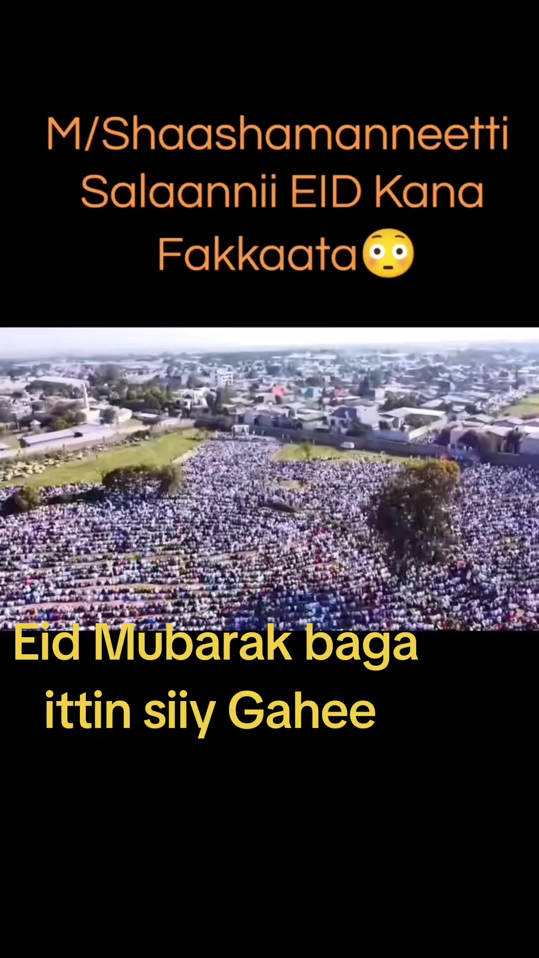 @UMMUU QERROo🐅👈
