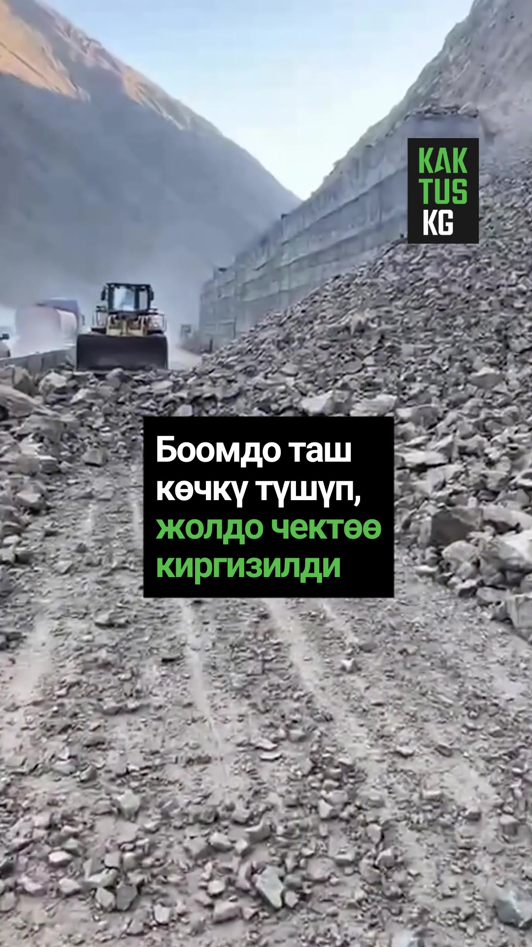 @Kaktus KG