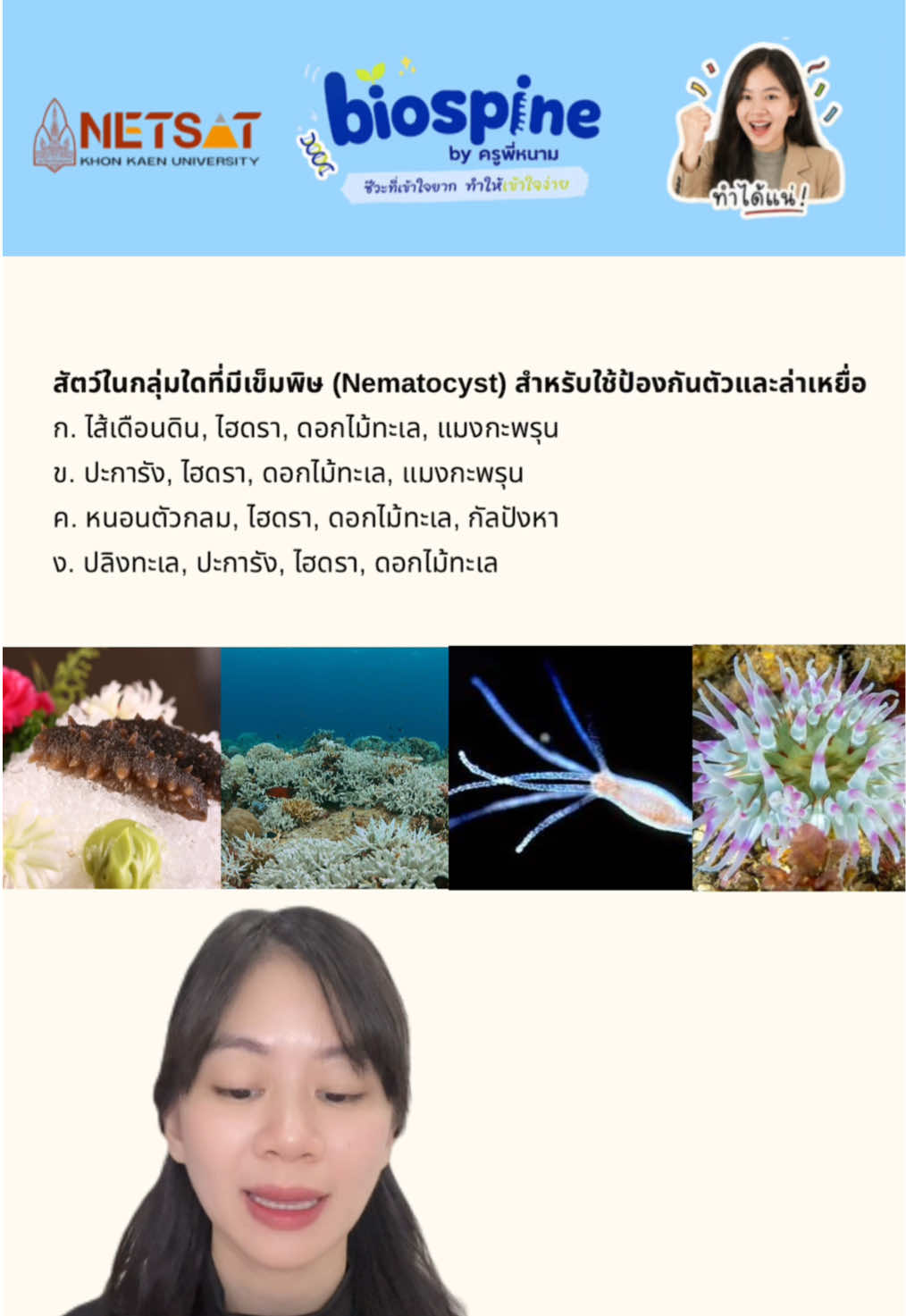 @Biospine by ครูหนาม