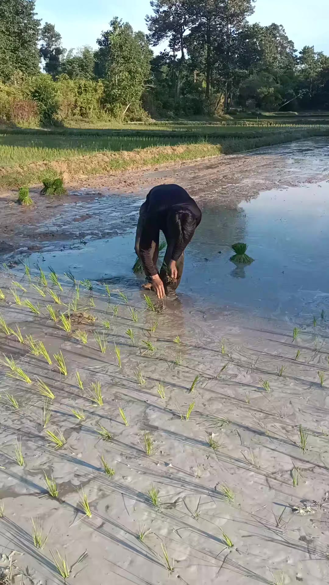 @ໂລມີໂອ
