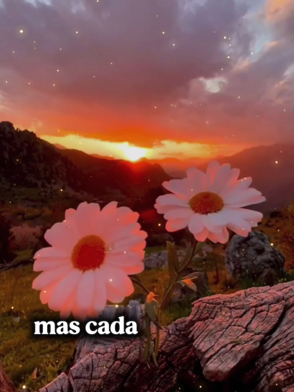 @Leiriane Santos