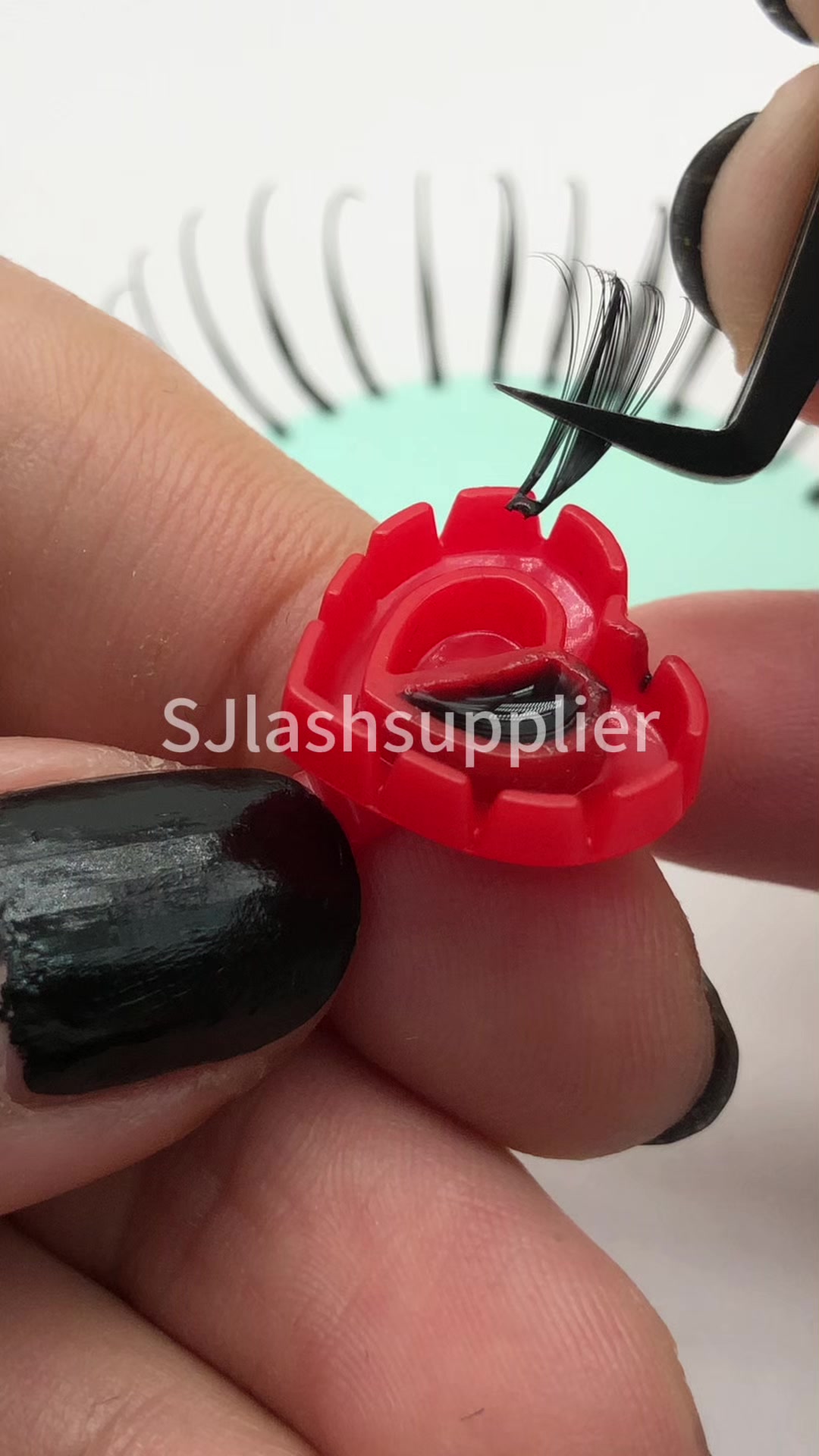 @sjlashsupplier.zoe