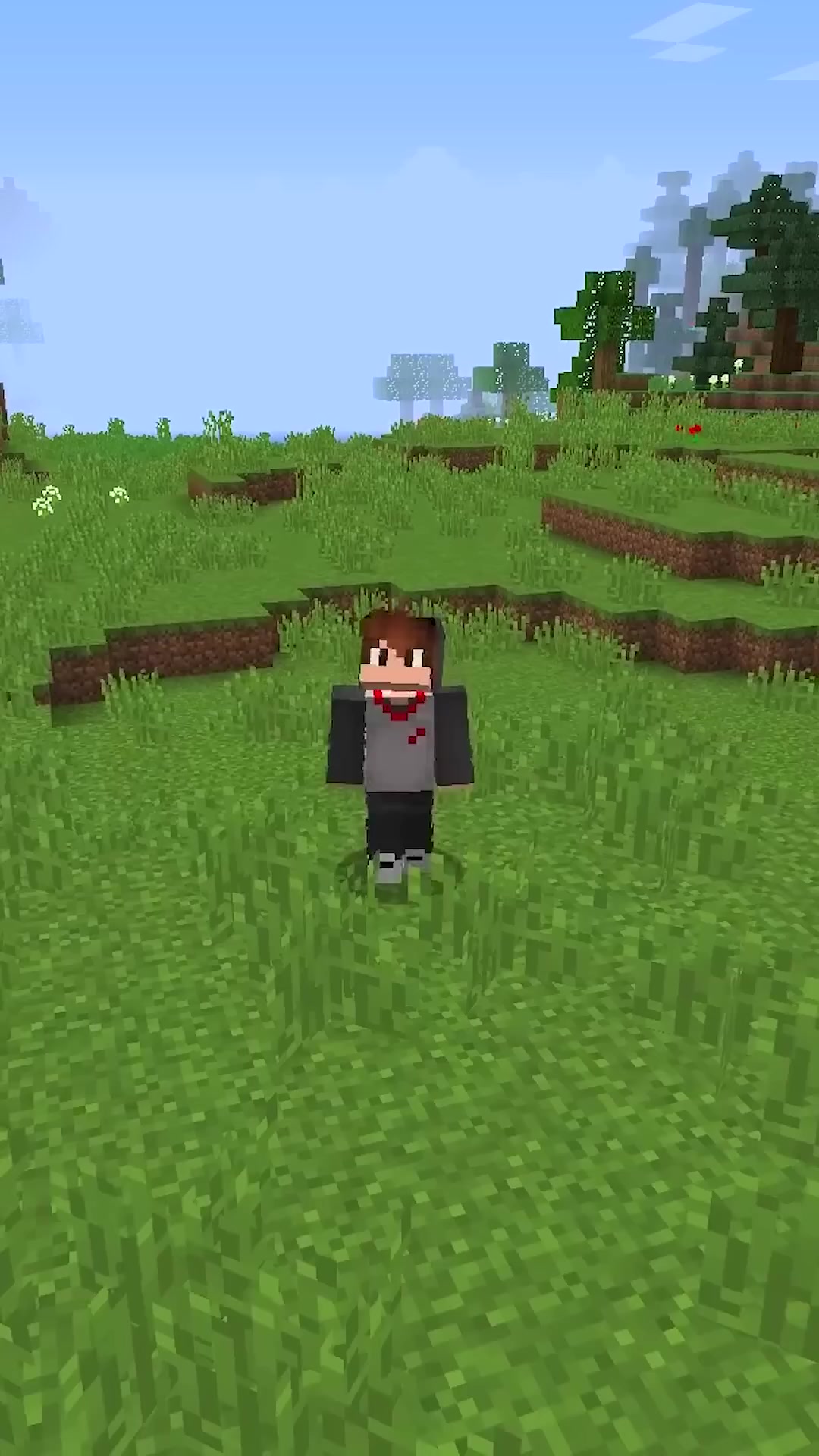 @NetPixelmon