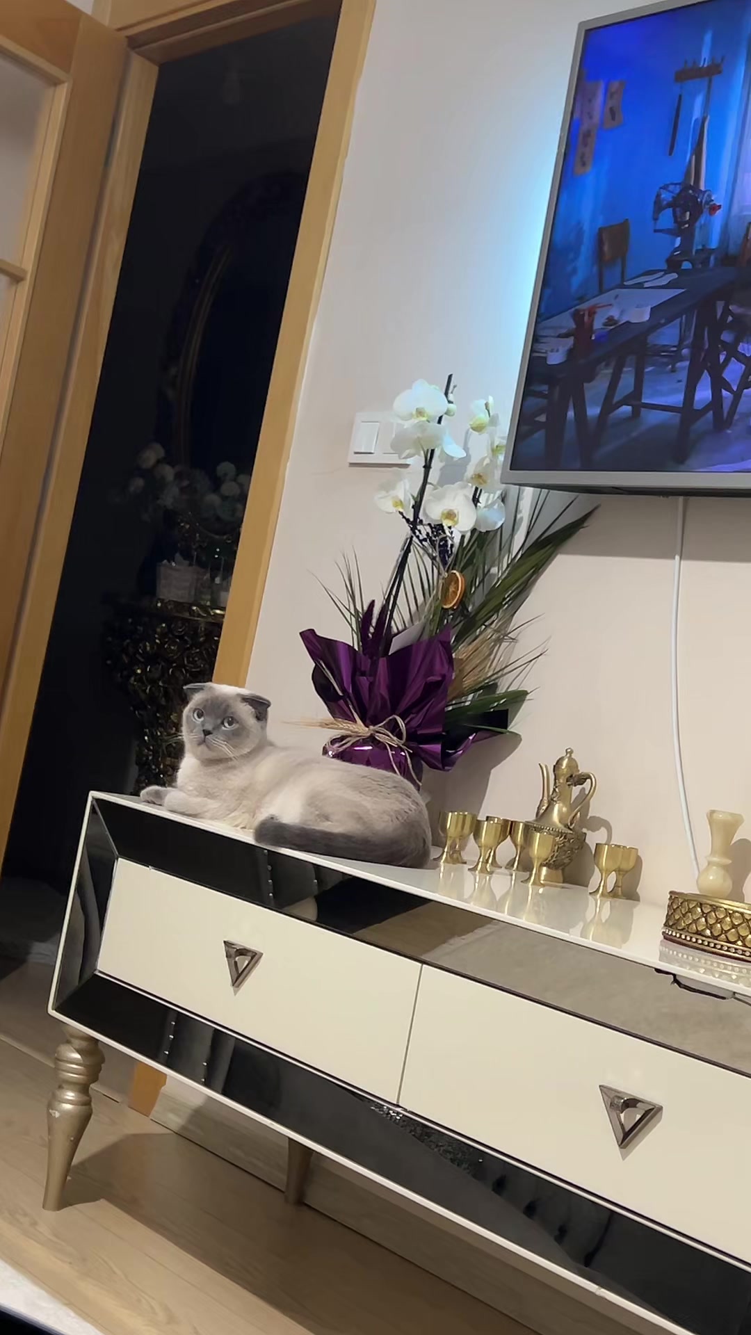@Alper❤️türkan36