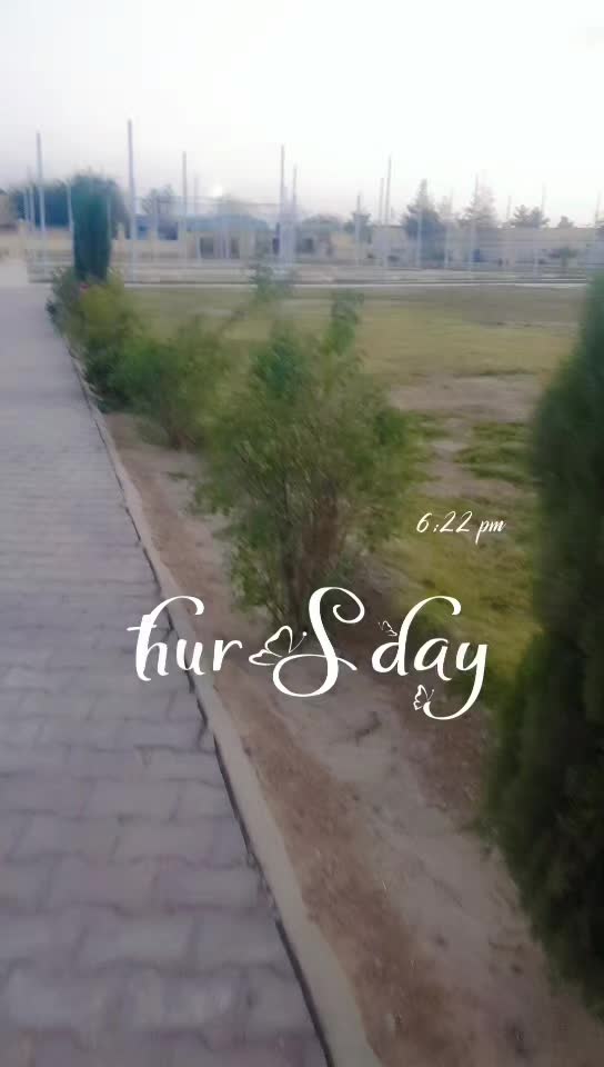 @Erij_Noor