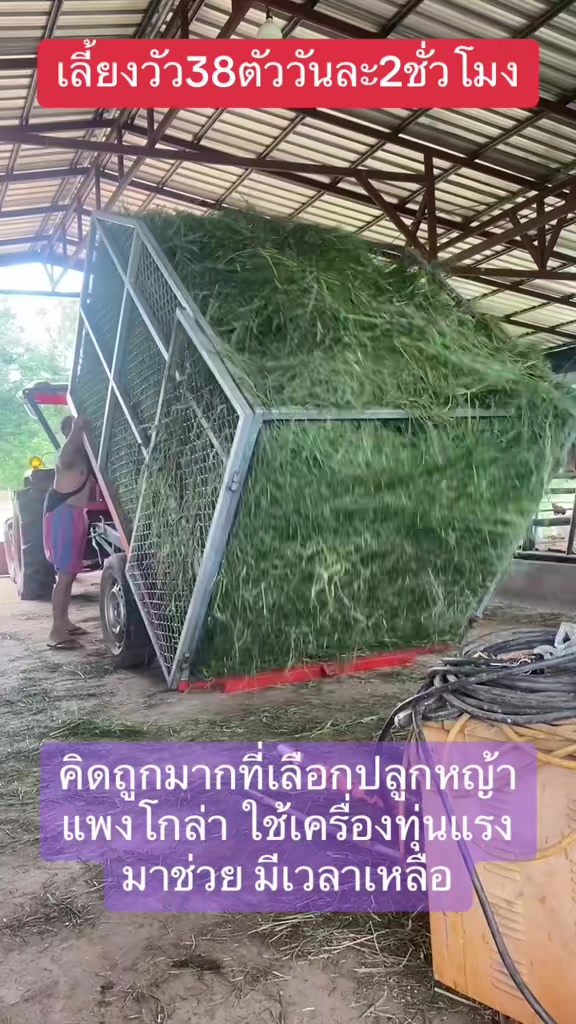 @นัดดาชอป