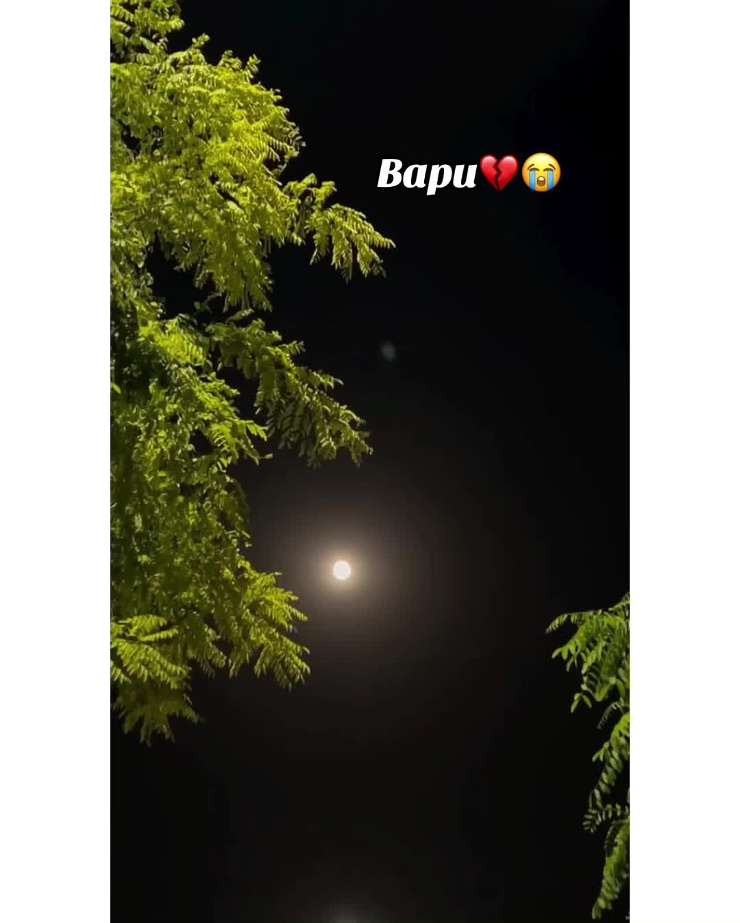 @⚜️𝐊𝐇𝐎𝐊𝐇𝐀𝐑❤️🩹