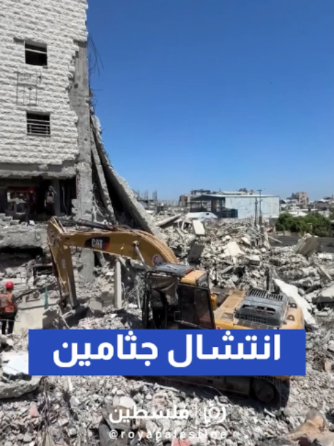@Royapalestine رؤيا فلسطين