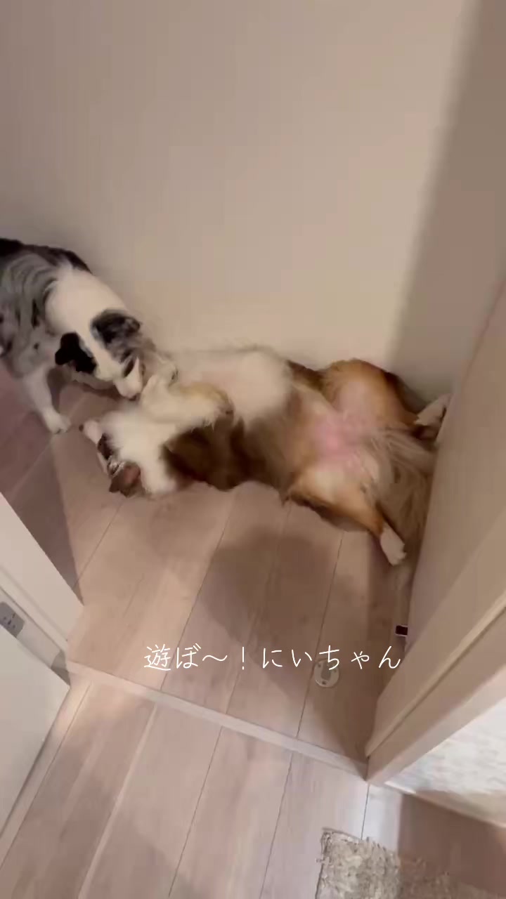 @サン&タマ