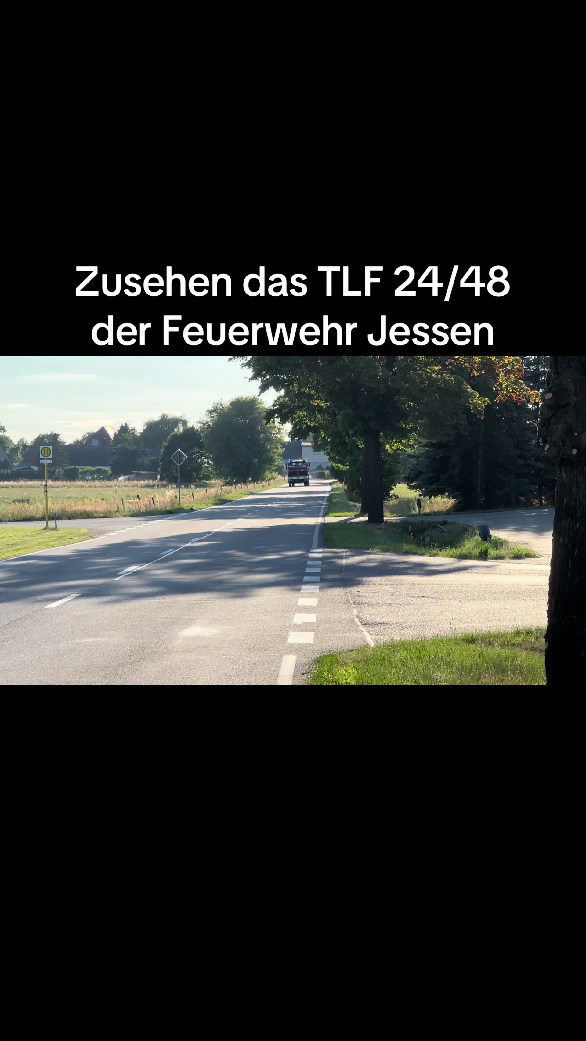 @bluelight_rlp