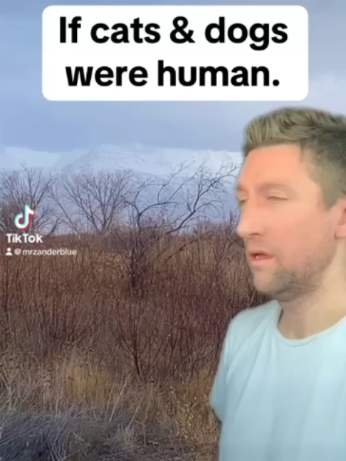 @mrzanderblue