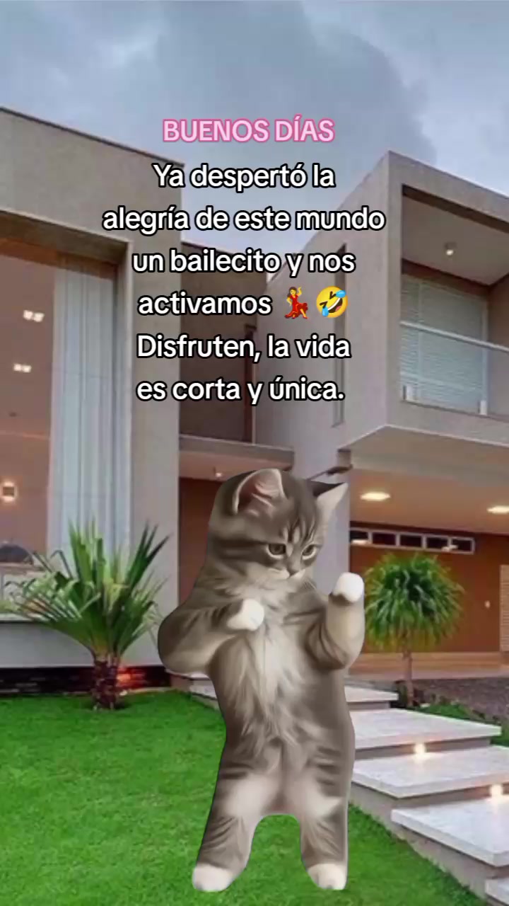 @🦋Janet🦋🇵🇪