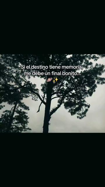 @Reyes