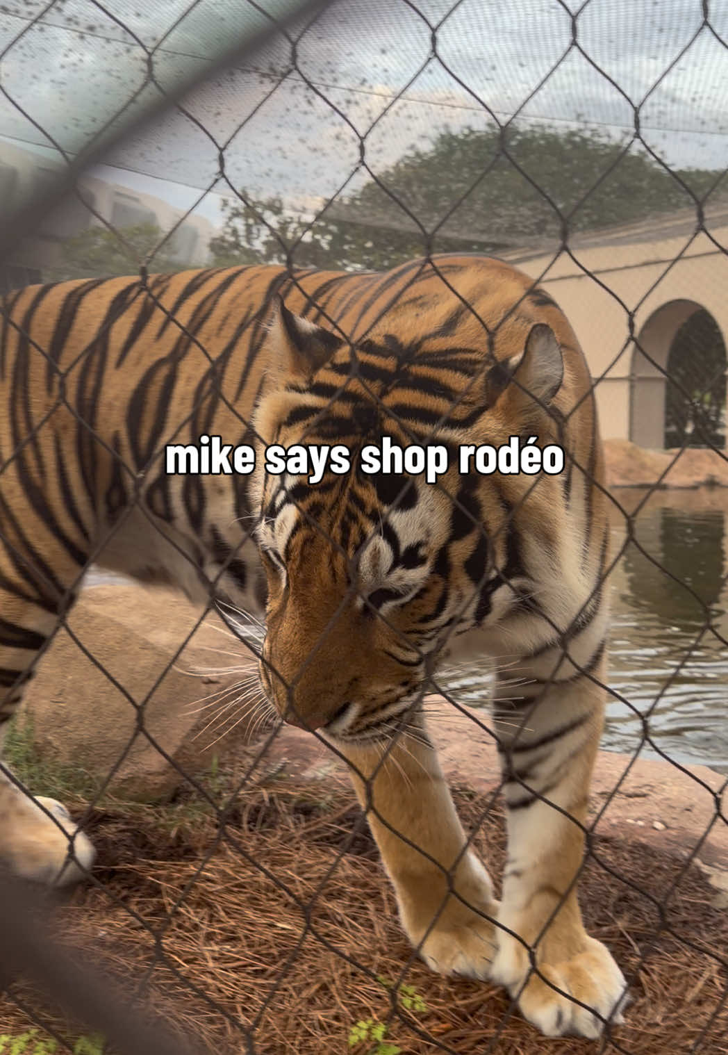 @Rodéo Boutique