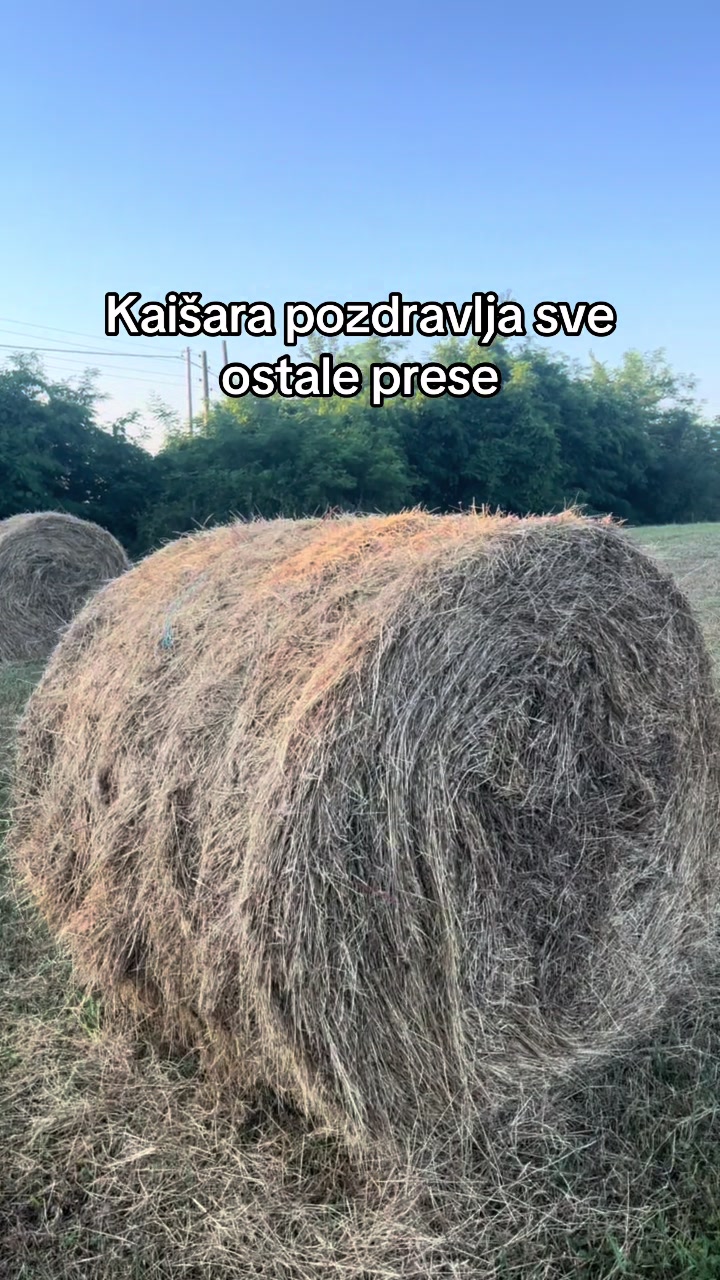 @_BRANKOVIĆ_