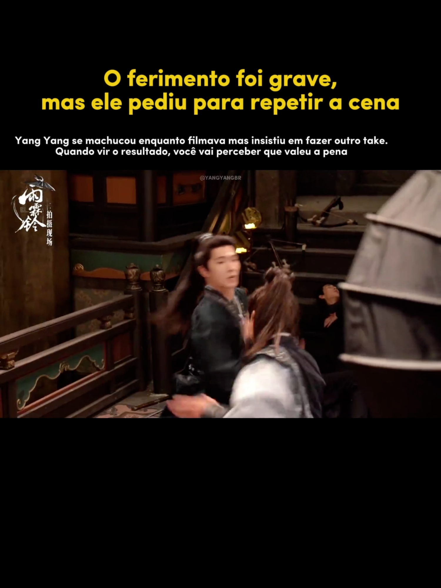 @Yang Yang Brasil